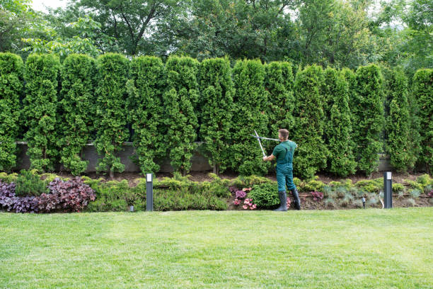 Landscape Design and Installation in Wolfe City, TX