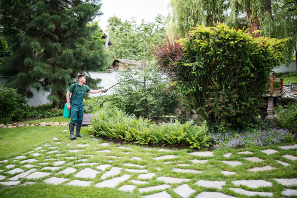 Best Aeration Services  in Wolfe City, TX