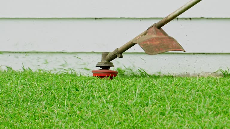 Best Tree Preservation Services  in Wolfe City, TX